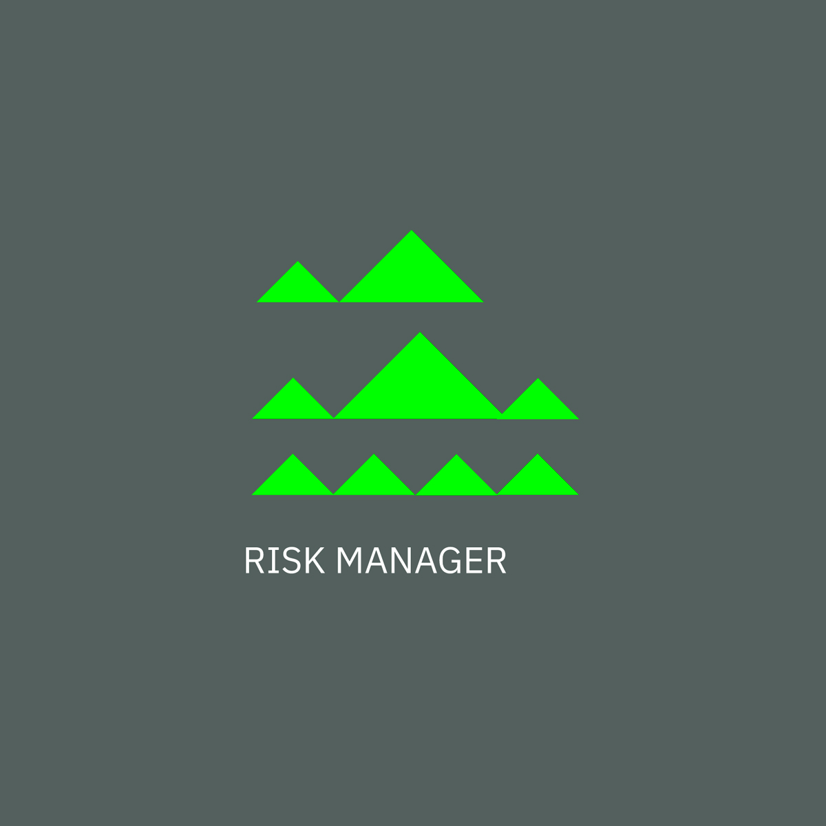Risk-Manager